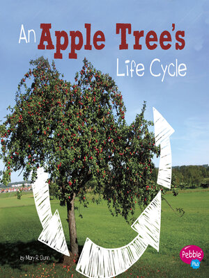 cover image of An Apple Tree's Life Cycle